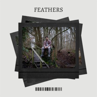 Feathers lyrics | Boomplay Music