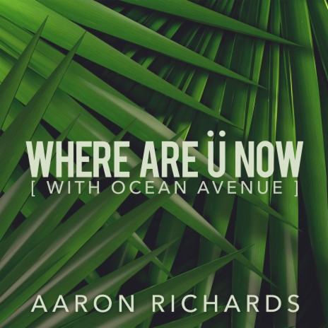 Where Are Ü Now (feat. Ocean Avenue) | Boomplay Music