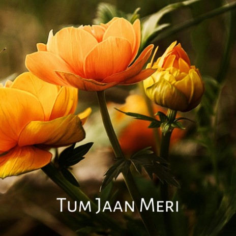 Tum Jaan Meri | Boomplay Music