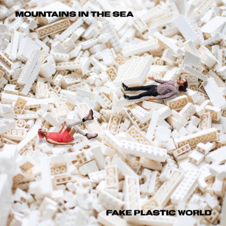 Fake Plastic World | Boomplay Music