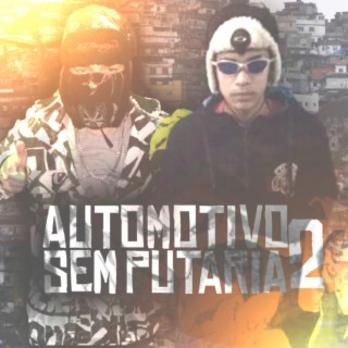 AUTOMOTIVO SEM PUTARIA 2