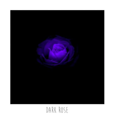 Dark Rose | Boomplay Music