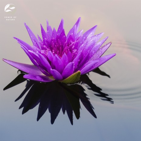 Effortless Relaxation for Mind-Body Healing ft. Zambezi Sounds | Boomplay Music