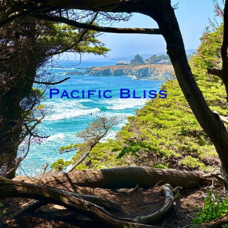 Pacific Bliss | Boomplay Music