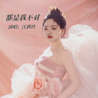 都是我不对 lyrics | Boomplay Music