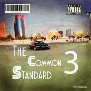 The Common Standard 3