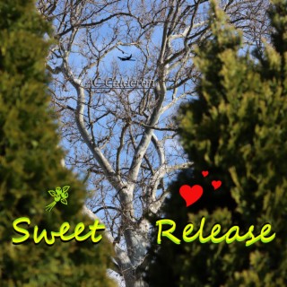 Sweet Release lyrics | Boomplay Music