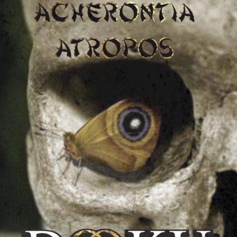 Acherontia Atropos | Boomplay Music