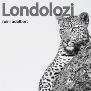 The Londolozi Collection