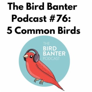 The Bird Banter Podcast#76: 5 Common Birds