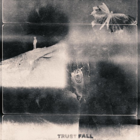 Trust Fall | Boomplay Music