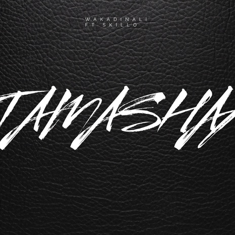 TAMASHANI ft. KATAPILLA & SKILLO | Boomplay Music