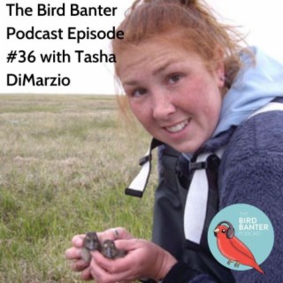 The Bird Banter Podcast Episode #36 with Tasha DiMarzio