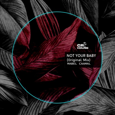 Not Your Baby | Boomplay Music