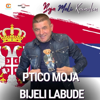 Ptico moja bjeli labude