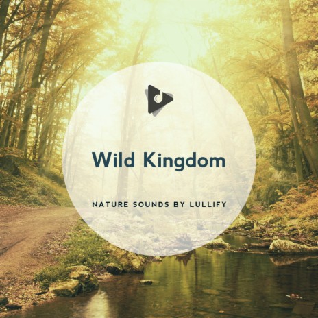 Nature Sounds by Lullify - Transitory Channels ft. Nature Sounds MP3  Download & Lyrics | Boomplay