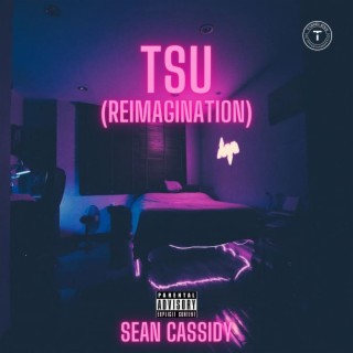 TSU (Reimagination)