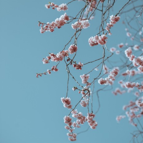 Rustle of Spring | Boomplay Music