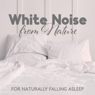 White Noise from Nature for Naturally Falling Asleep (Ocean Waves)
