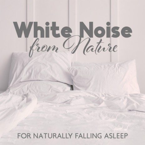 White Noise from Nature for Naturally Falling Asleep