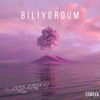 Biliyordum