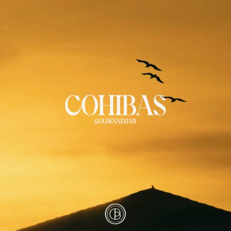 Cohibas | Boomplay Music