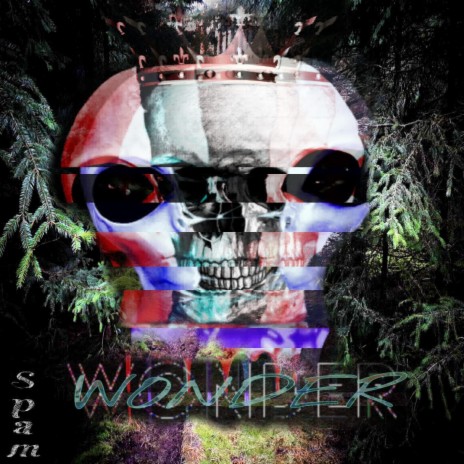 Wonder ft. Toxic | Boomplay Music