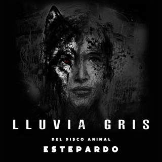 Lluvia Gris