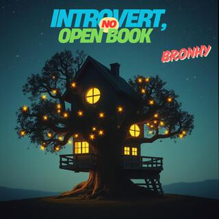 Introvert, No Open Book lyrics | Boomplay Music