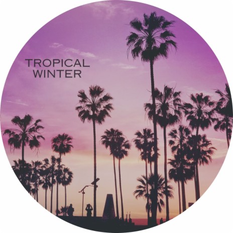 Tropical Winter | Boomplay Music