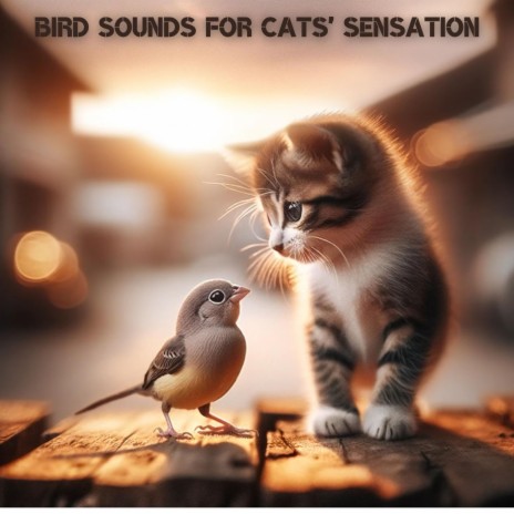Cat's Feathered Friends