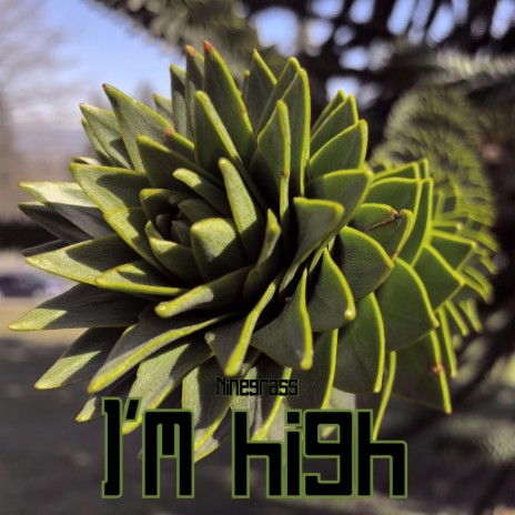 I'm high | Boomplay Music