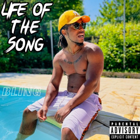 Life of The Song | Boomplay Music