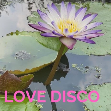 LOVE DISCO | Boomplay Music
