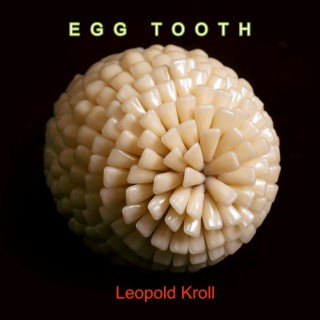 Egg Tooth