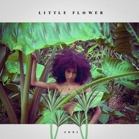 Little Flower | Boomplay Music