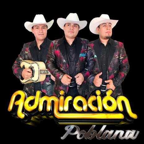 Molinos de viento (trini) olotla tlanchinol hidalgo | Boomplay Music