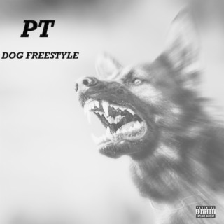 Dog Freestyle