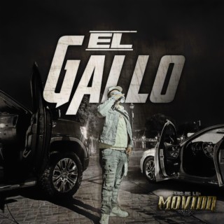 El Gallo lyrics | Boomplay Music