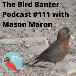 The Bird Banter Podcast #111 with Mason Maron