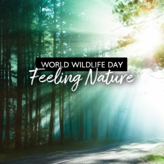 World Wildlife Day: Feeling Nature