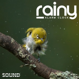 Rainy Alarm Clock: Nature Ringtones (Rain & Birds)