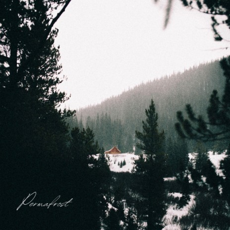 Permafrost (Radio Edit) | Boomplay Music