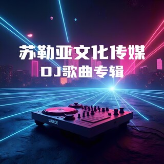 苏勒亚文化传媒DJ歌曲专辑