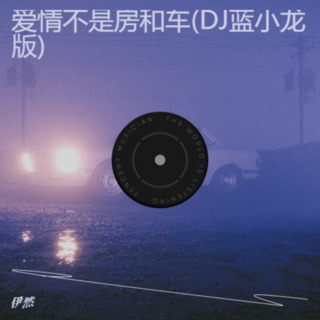 爱情不是房和车(DJ蓝小龙版) lyrics | Boomplay Music