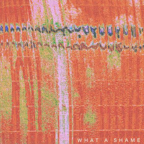 What a Shame | Boomplay Music