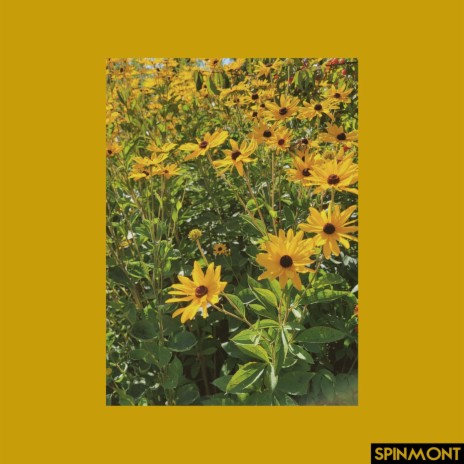 Sundelion | Boomplay Music