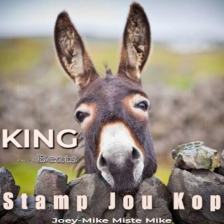 Stamp Jou Kop (Probleme in My Lewe)