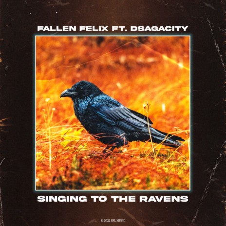 Singing To The Ravens ft. Dsagacity
