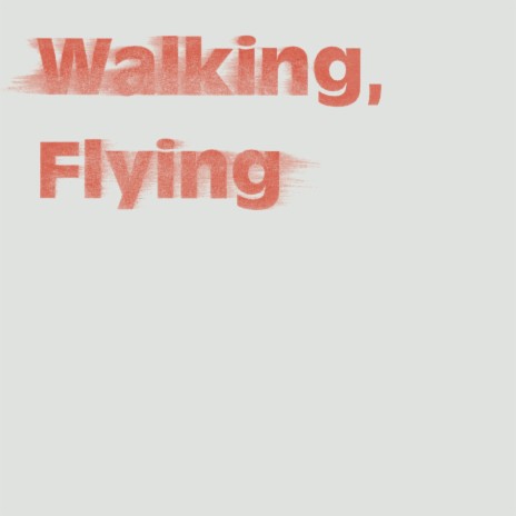 Walking, Flying | Boomplay Music